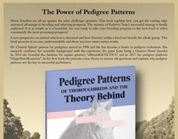 Pedigree Patterns of Thoroughbreds and the Theory Behind by Dr. Chantal Spleiss